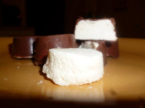 Bouchées-guimauve-chocolat-(emmanuelle62)-companion