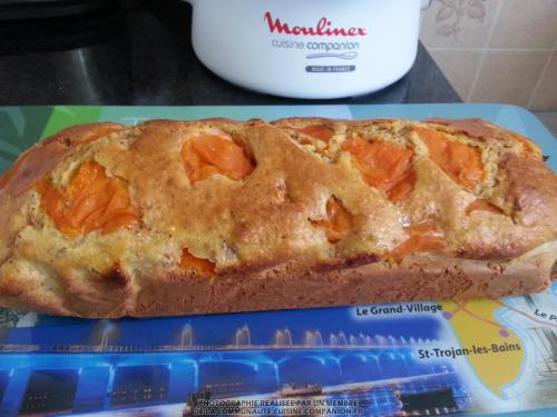 Cake-allégé-aux-abricots,-amandes-et-miel-(séverines)-companion