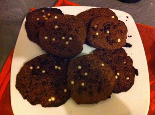 Cookies-chocolat-version-light-(delph)-companion