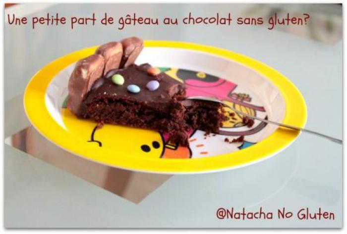 Fondant-chocolat-amande-sans-gluten-(natachanogluten)-companion