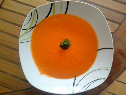 Velouté-de-tomates-rapide-(maud.l)-companion