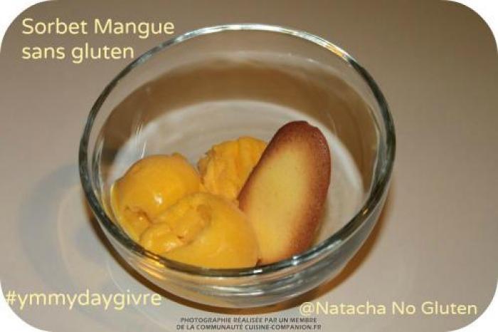 Sorbet-Mangue-–-sans-lait-et-sans-gluten-(Natacha)-companion