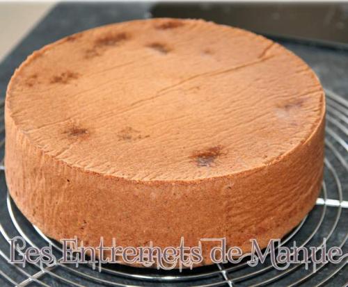 Molly-cake-thermomix