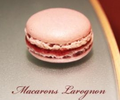 Macarons-«-larognon-»-(myrtilles-citron)-thermomix